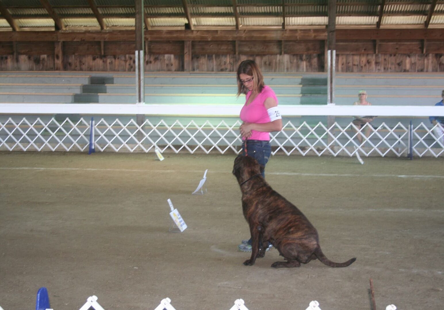 Boulder Ridge Kennels